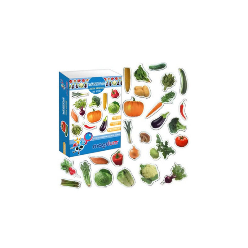 Zestaw magnesów Warzywa MV6032-12 54420