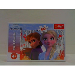 PUZZLE 60 Zaczarowany świat Anny i Elsy/Froz.17333