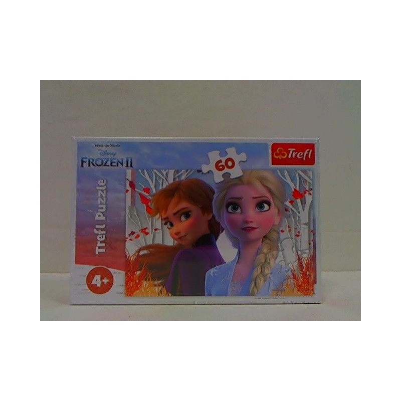 PUZZLE 60 Zaczarowany świat Anny i Elsy/Froz.17333