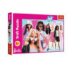 PUZZLE 160 Barbie i jej świat /Mattel 15419