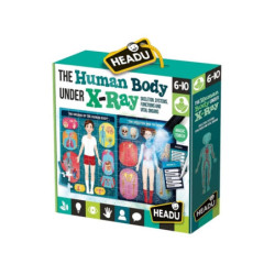 HEADU Ludzkie ciało rentgen wiek 6-10 22762
