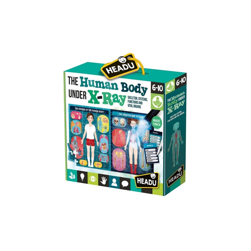 HEADU Ludzkie ciało rentgen wiek 6-10 22762