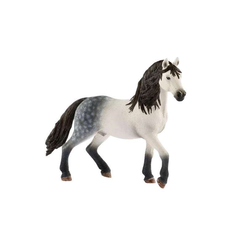 SLH Andaluzyjski ogier 13821 25568