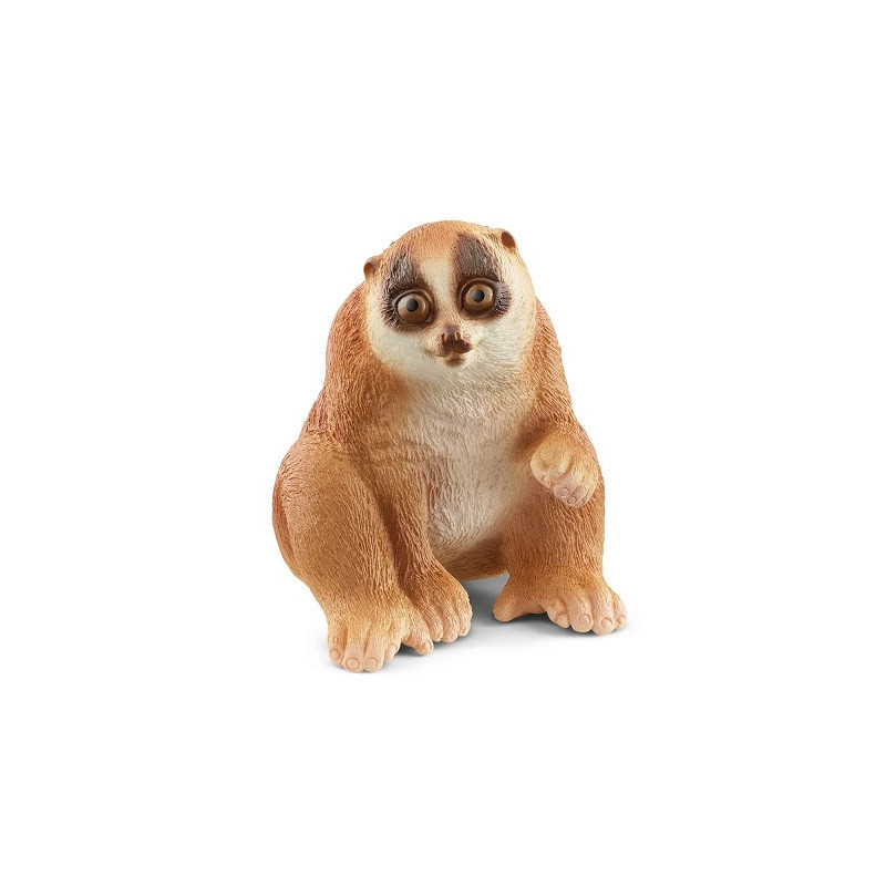 SLH kukang WildLife 14852 54412