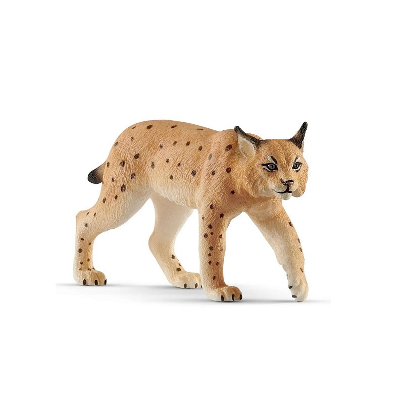 SLH ryś 14822 29646