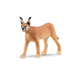 SLH samica karakala 14867 37693