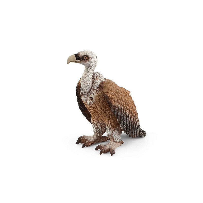 SLH sęp 14847 67432