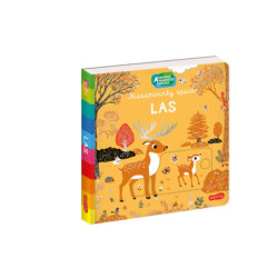 Akademia...Niesamowity spacer Las 72094