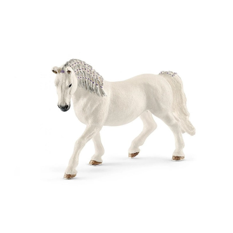 SLH klacz rasy Lipicańskiej 13819 12358