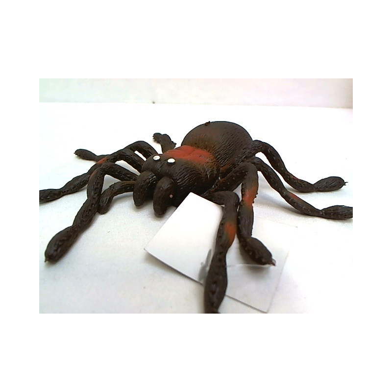 Pająk z groszkiem 11cm HAB023 24szt/disp 62987