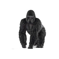 SLH goryl 14770 25551