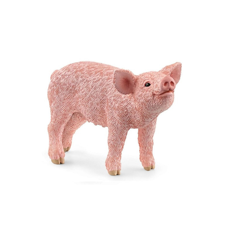 SLH prosię 13934 92241