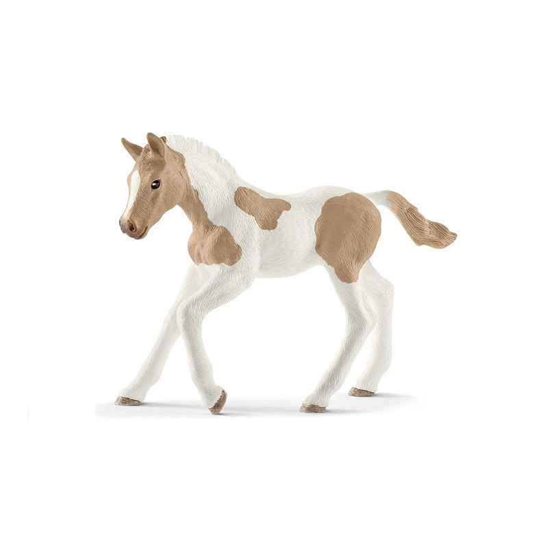  SLH koń Paint Horse źrebię 13886 29424