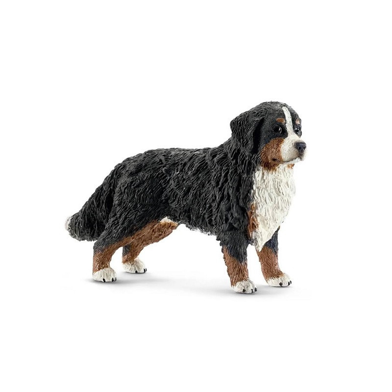 SLH berneński pies pasterski suczka 16397 63973