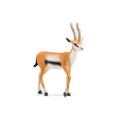 SLH gazela Thomsona 14861 63948