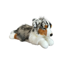 Pies australijski leżący 61cm 30399
