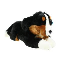 Pies berneński 61cm 48990