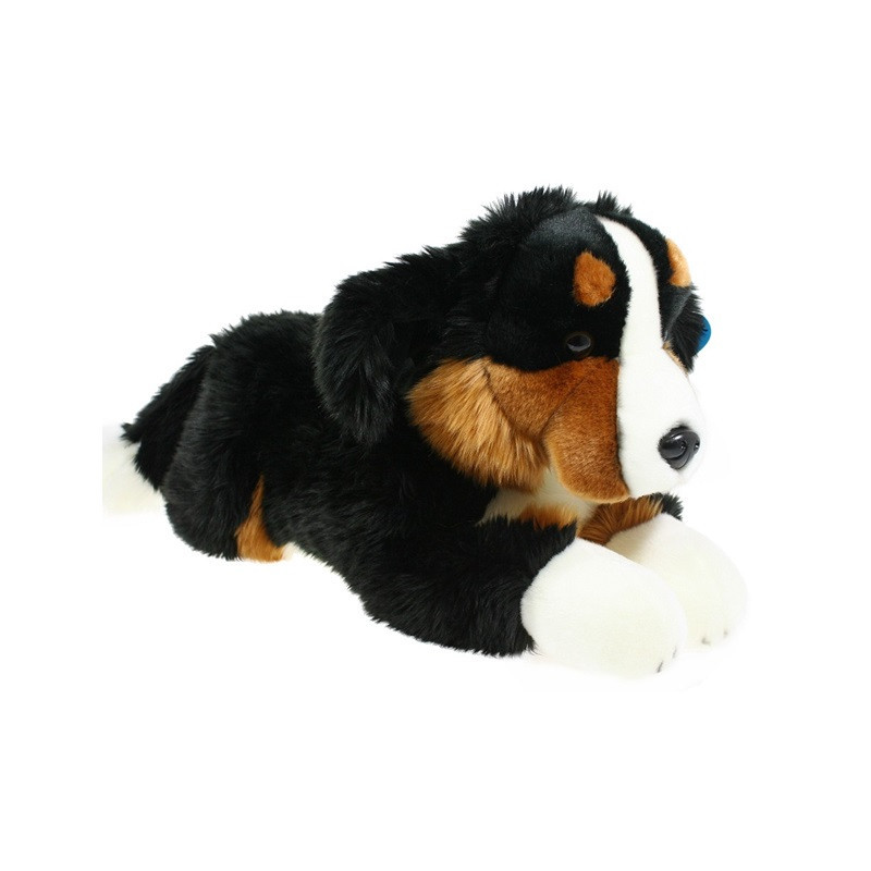 Pies berneński 61cm 48990