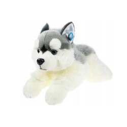 Pies husky leżący 61cm 81932