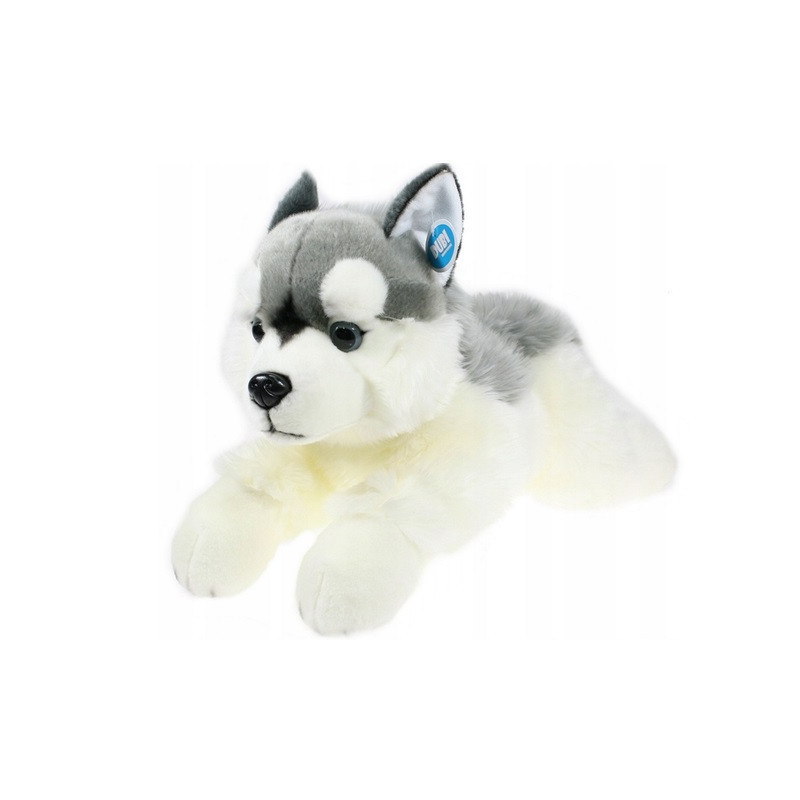 Pies husky leżący 61cm 81932