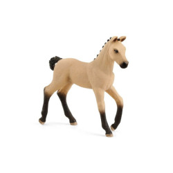 SLH koń źrebię rasy Hanover.RedDun 13929 91817