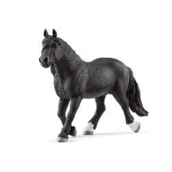 SLH ogier rasy Noriker 13958 63986