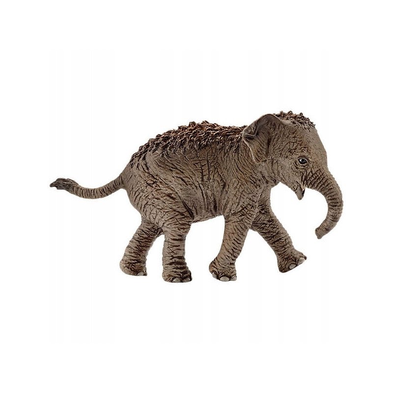 SLH młody słoń Azjatycki 14755 47553