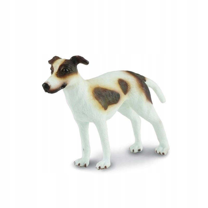 Collecta rasy chart szczeniak 88188 81881