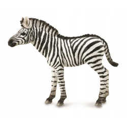 Collecta młoda zebra 88850 88507