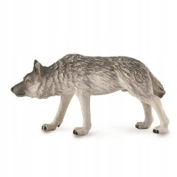 Collecta leśny wilk polują 88845 88453