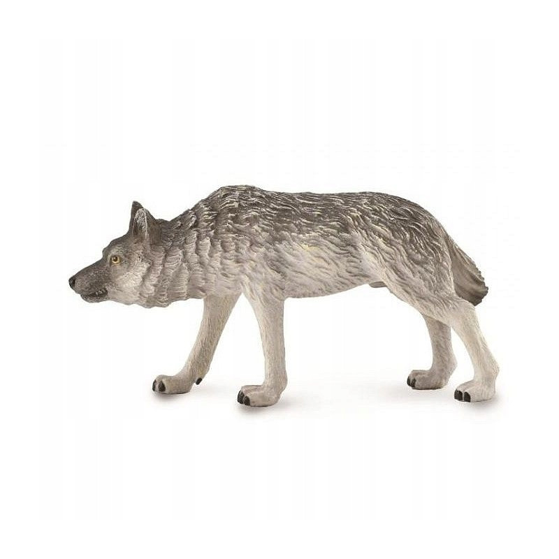 Collecta leśny wilk polują 88845 88453