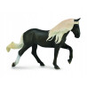 Collecta Klacz rasy Rocky Mountain 88793 87937