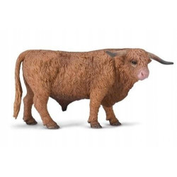 Collecta byk szkockiej ras 80011 00110