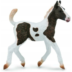 Collecta źrebię rasy bashk 88781 87814