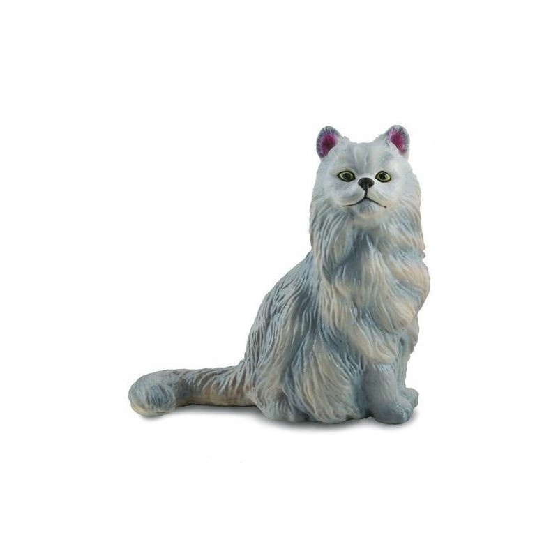 Collecta kot perski siedzą 88329 83298