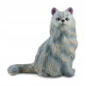 Collecta kot perski siedzą 88329 83298