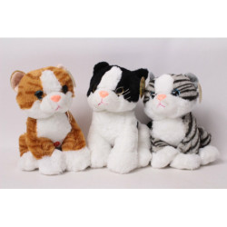 Kotek pręgowany CHT03653 36539