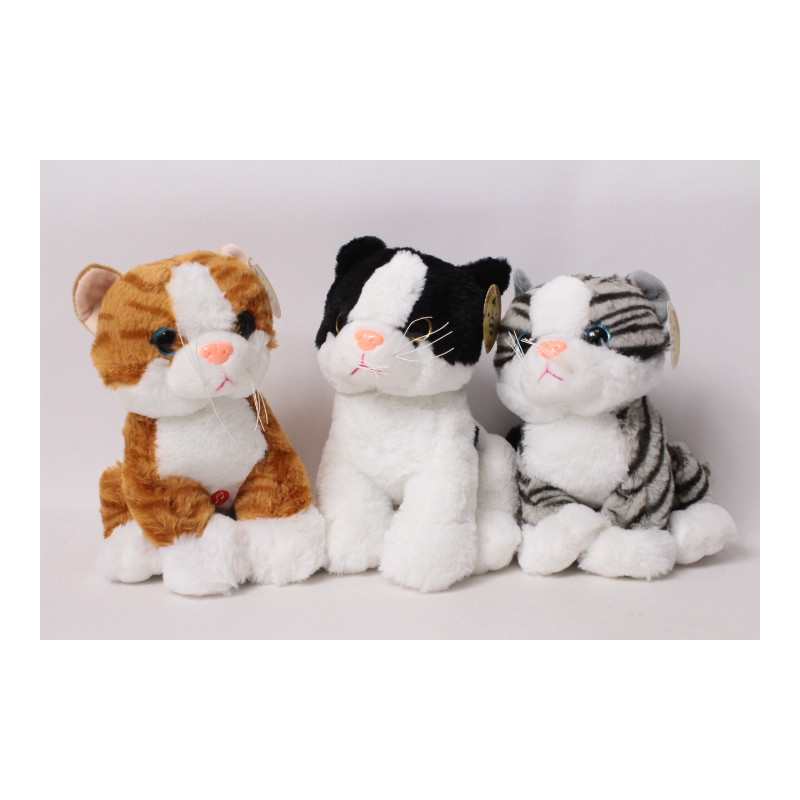 Kotek pręgowany CHT03653 36539