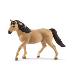  SLH Connemara kucyk klacz 13863 39690