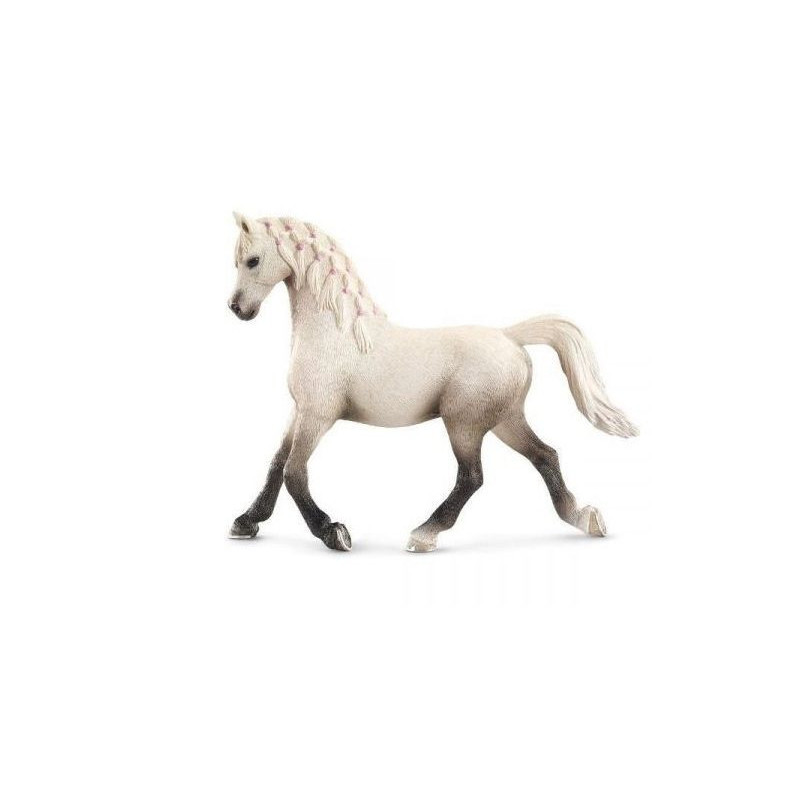  SLH klacz rasy Arabskiej "14 13761