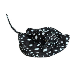 Płaszczka czarna 55cm 32980