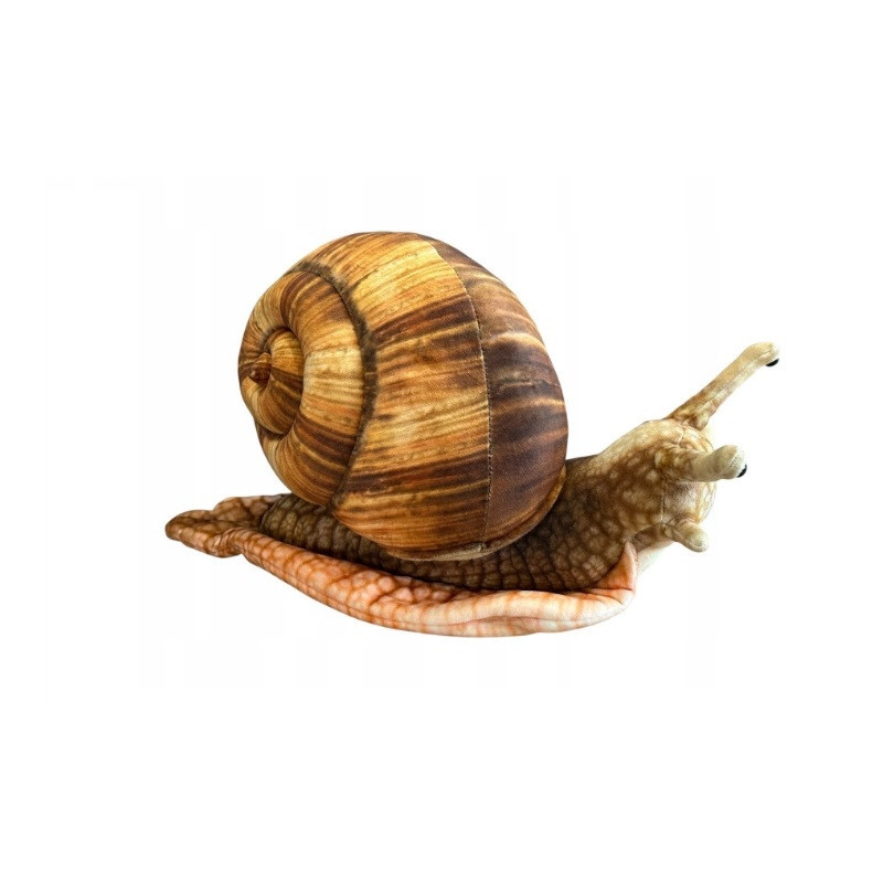 Ślimak 35cm 33017