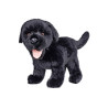  Labrador pluszowy 23cm 90455 04552