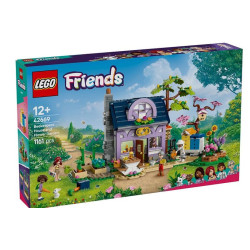  LEGO FRIENDS Dom pszczelarzy i kwiat.og.42669