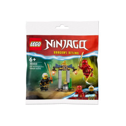  LEGO NINJAGO 6+ Bitwa Kaia i Raptona 30650