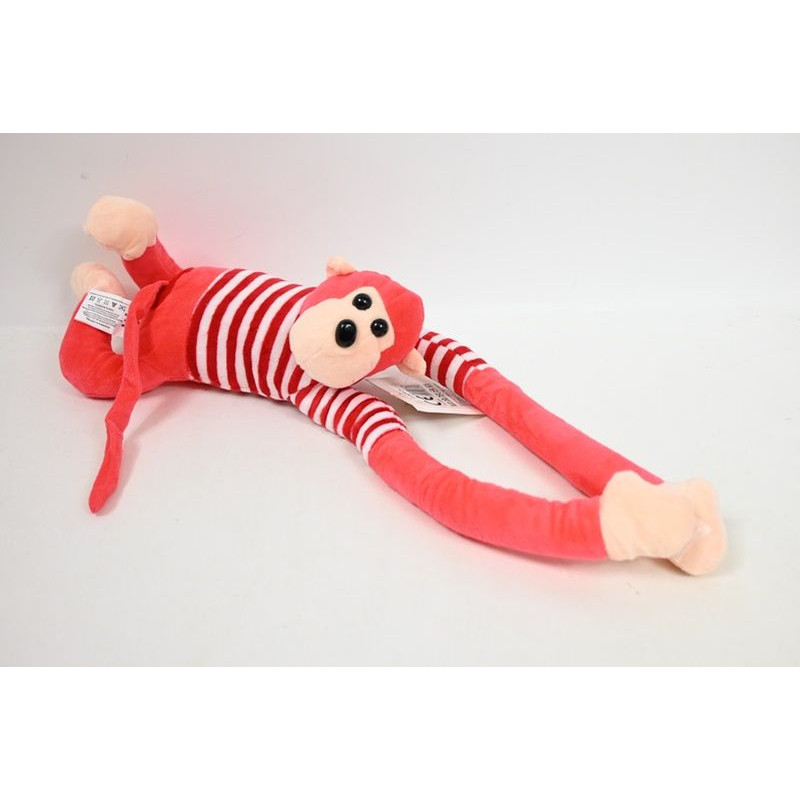  Małpa w koszulce czerwonej wisząca 1008364