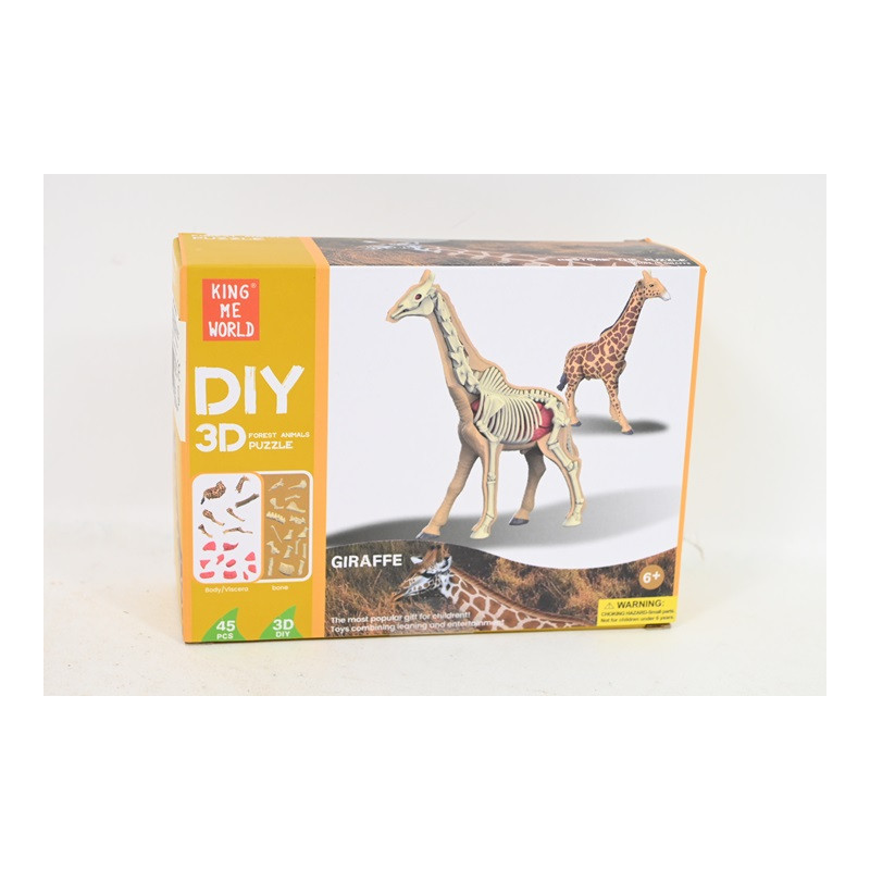  Model anatomiczny zwierzęta 2002264 22640