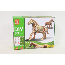  Model anatomiczny zwierzęta 2002265 22657