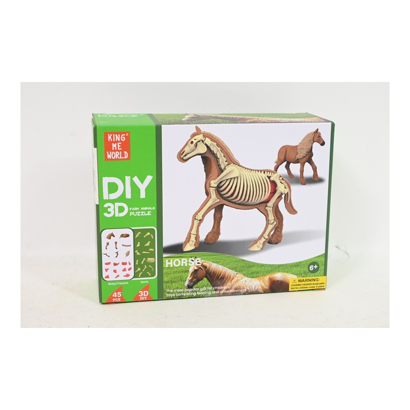  Model anatomiczny zwierzęta 2002265 22657