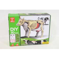  Model anatomiczny zwierzęta 2002266 22664